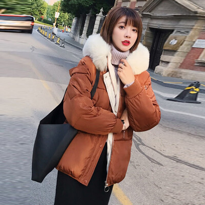 

JOY OF JOY 2018 winter new cotton suit slim thick coat female bread clothes jacket Korean version of the short loose cotton coat female JWMF189368 brown L