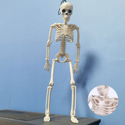 

Willstar 1PC Simulation Humans Skeleton Ornament Halloween Party Bar