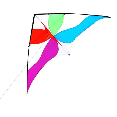 

Colorful Huge Delta Kite Outdoor Sport Single Line Flying Kite with 30m Flying Line for Kids Adults