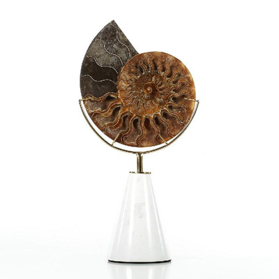 

Nautilus Shell Remains Ornament Abstract Sculpture White Cone-shape Marble Base Post-Modernism Villa Decor Living Room Decor