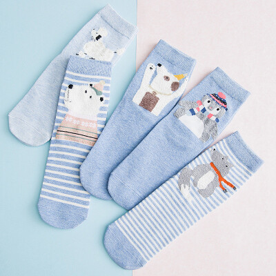 

Ladies cartoon socks cotton Japanese cute animal pattern in stockings 5 pairs