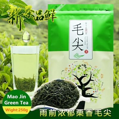 

China Xin yang Mao jian Green Tea Real Organic New Early Spring Tea Green Food for Loss Weight Health Care