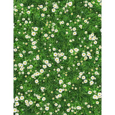 

Green Place Photo Backdrop 57FT Vinyl Fabric Cloth Digital Printing Photo Background s-2399