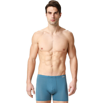 

Schiesser Mens Solid Color Panties Mid Waist Pants 3911319T Medium Blue 7801 M