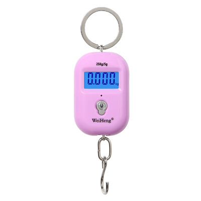 

WeiHeng Mini Luggage Scale Portable Electronic Scale Digital Fish Scale with Zero Tracking Function 25kg Double-range Scale Digita