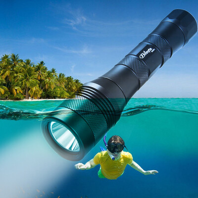 

Brinyte DIV01 XML-U2-CREE Professional LED Diving 800LM 3 x C Battery Flashlight