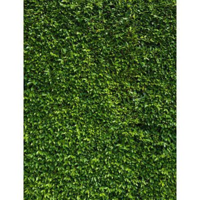 

Green Flower Photo Backdrop 57FT Vinyl Fabric Cloth Digital Printing Photo Background s-2400