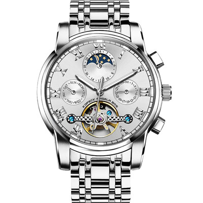 

Angela Bos 9022G Watch Men Automatic Mechanical Movement Wrist Watch Waterproof Calendar Luminous Watch for Men