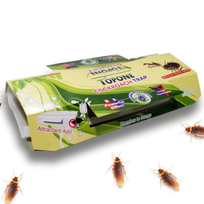 

Strong Adhesion Sticky Paper Cockroach Trap Pack of 20 pack