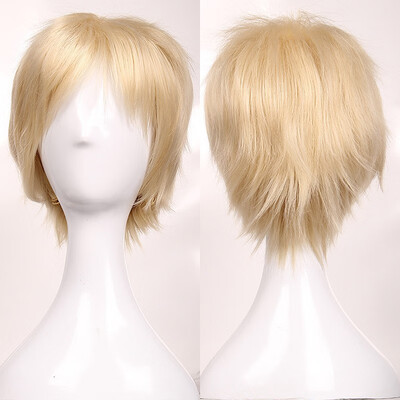 

Short Cosplay Wig Women Men Fluffy Straight Anime Comic Hairstyle Party Costume Dress Synthetic Hair Pixie Wigs