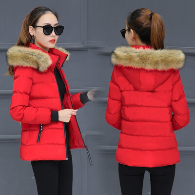 

Cotton short style cotton-padded jacket hat 2018 winter new pure color thickened wool collar cotton clothes