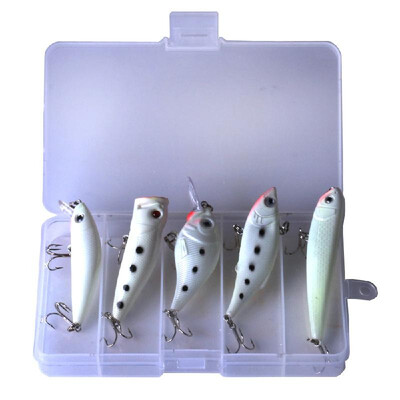 

HENG JIA 5pcs Simulated Fluorescence Noctilucence Fishing Lures Set Box Mixed 5 Models Baits Tools of Angling