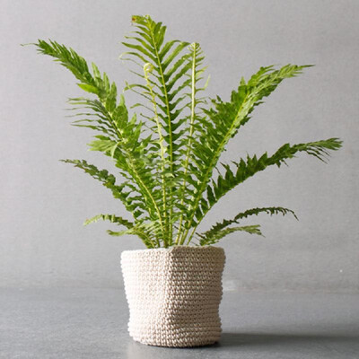 

Cotton Rope Planter Basket Woven Storage Basket Plant Cover Basket Bin Hand Made Gift Basket Thin Grey Large