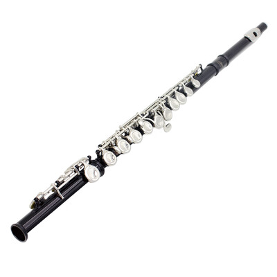 

Western Concert Flute Cupronickel Plated Silver 16 Holes C Key Woodwind Instrument with Cleaning Cloth Stick Gloves Mini Screwdriv