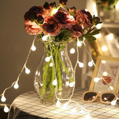 

LED lights flashes balls neon lights small lights holiday wedding lights battery lights stars