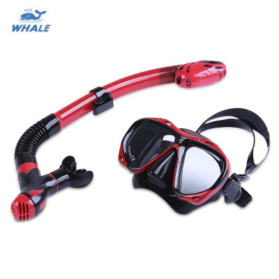 

WHALE Professional Diving Water Sports Training Snorkeling Silicone Mask Snorkel Glasses Set