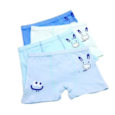 

Aa-shop Boys Clothing Underwear Cotton Briefs