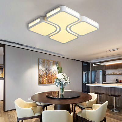 

EverFlower Max 24W Modern LED Flush Mount Ceiling Light for Living Room Bedroom Painted Finish