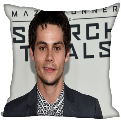 

Dylan Pillow Cover Bedroom Home Office Decorative Pillowcase Square Zipper Pillow Cases Satin Fabric No Fade