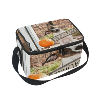 

ALAZA Lunch Box Insulated Lunch Bag Large Cooler Trick Or Treat Tote Bag