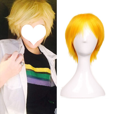 

Short Cosplay Wig Women Men Fluffy Straight Anime Comic Hairstyle Party Costume Dress Synthetic Hair Pixie Wigs