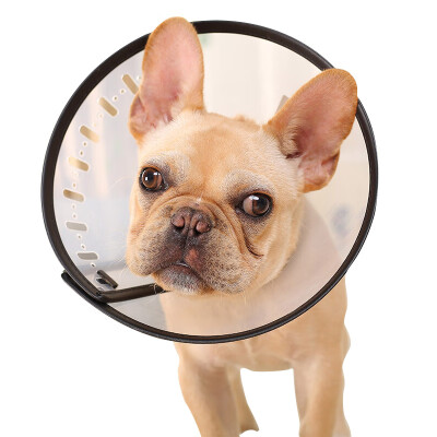 

Hoopet elizabeth circle dog headgear cat hood hood anti-bite ring pet collar 9