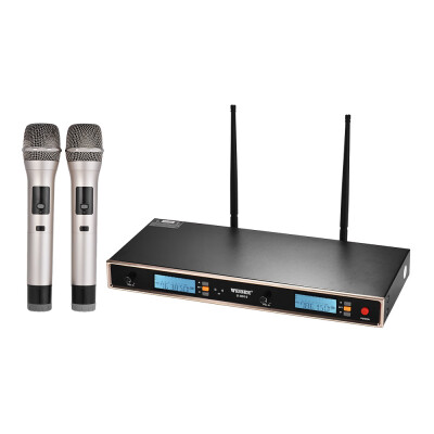 

Professional Dual Channel UHF Wireless Handheld Microphone System 2 Microphones&1 Wireless Mic Receiver 635mm Audio Cable AC