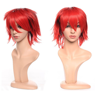 

Short Cosplay Wig Women Men Fluffy Straight Anime Comic Hairstyle Party Costume Dress Synthetic Hair Pixie Wigs