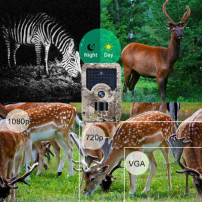 

1080P HD12MP Wildlife Infrared Trail Digital Animal Hunting Camera 940NM