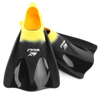 

Adults Diving Fins Full Foot Flippers Close Heel Training Swimming Snorkeling Scuba Foot Pocket Fin Men Women