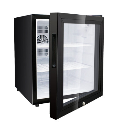 

Mini Fridge for Cold Storage with Thermoelectric Plastic Door 42L