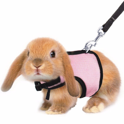 

Soft Rabbits Harness with Leash