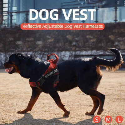 

Dog Vest Harnesses Reflective Service Dog Harness Adjustable Service Dog Vest Dog Chest Belt for Outdoor Walking S