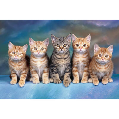 

5D DIY Full Drill Diamond Painting Looking Cats Cross Stitch Embroidery Kit