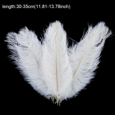 

Wholesale10pcs beautiful natural ostrich feathers "12-14" Inch White Decorations