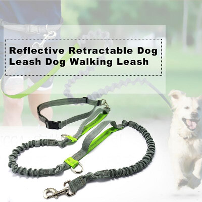 

Pet Leashes Dog Leash Reflective Retractable Dog Walking Leash Dual Bungees with Waist Belt Dog Training Leash