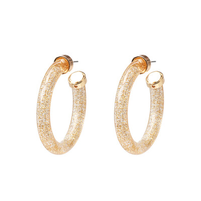 

Fashion Bohemia Acrylic Acetate Hoop Earrings for Women Vintage Leopard Print Circle Hoops Alloy Earring za jewelry Female 2019