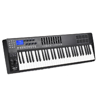 

PANDA61 61-Key USB MIDI Keyboard Controller 8 Drum Pads with USB Cable