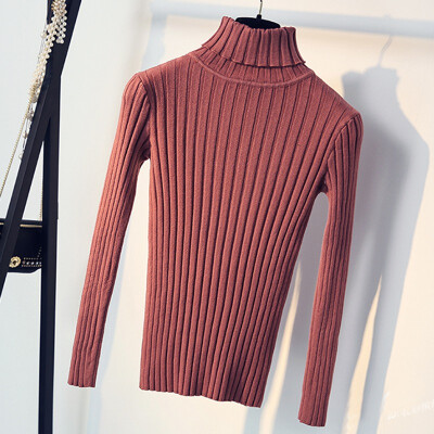 

Warm Women Turtleneck Sweater 2018 Autumn Winter Knit Women Sweaters And Pullover