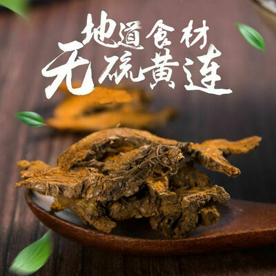 

Organic Dried Rhizoma Coptidis Coptis Rhizome Huang Lian Root Slices China Herb