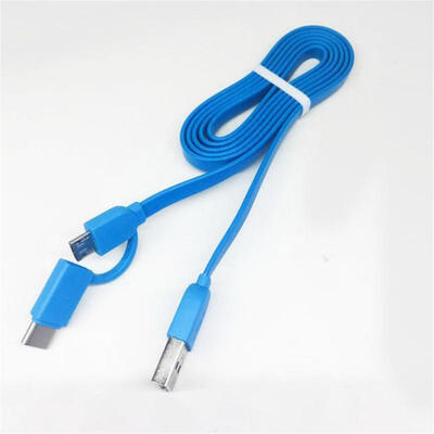 

2-in-1 Charger Cable Type C Micro USB Charging And Syncing Cord