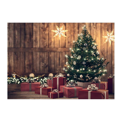 

Christmas Theme Thin Vinyl Waterproof Wall Background Cloth Photo Backdrop