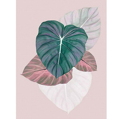 

New Arrival Canvas Painting Living Room Decoration Plant Theme DIY Painting with High Quality Wram Feeling