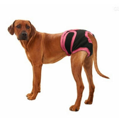 

Female Dog Pet Physiological Pants Sanitary Diaper Nappy Shorts Panty Underwear