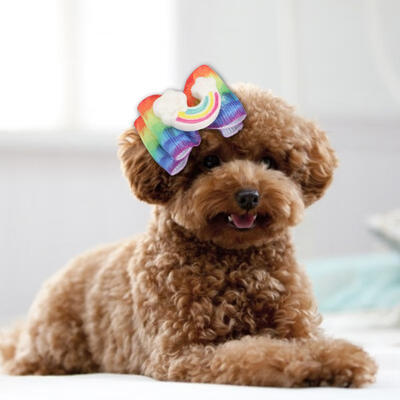 

Greensen 10Pcs Pet Dog Cat Puppy Iridescent Bowknot Decoration Hairpins Hair Accessory Headwear