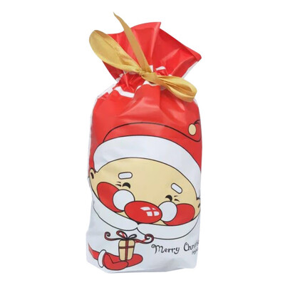 

50 PCS Christmas Candy Bags Pocket Sweet Candy Biscuit Christmas Gift Bag Santa Gift Bag Decorations