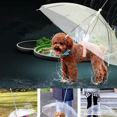 Transparent Umbrella with Built-in Leash Pet Dog Puppy Dry Comfortable In Rain