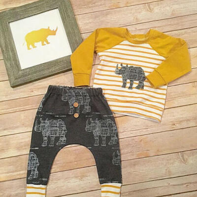 

UK 2Pcs Baby Boys Toddler Long Sleeve Top T-shirtHarem Pant Clothes Outfit Set