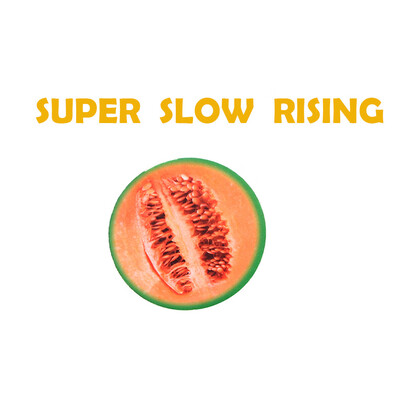 

Gotoamei Cute Small Fruits Stress Reliever Scented Super Slow Rising Toy