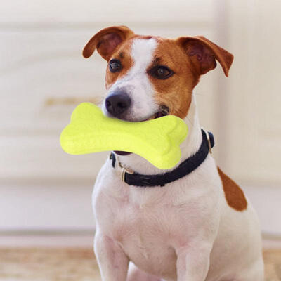 

Greensen Durable Mini Bone Model EVA Teeth Cleaning Protection Biting Chewing Toy for Dog Pet
